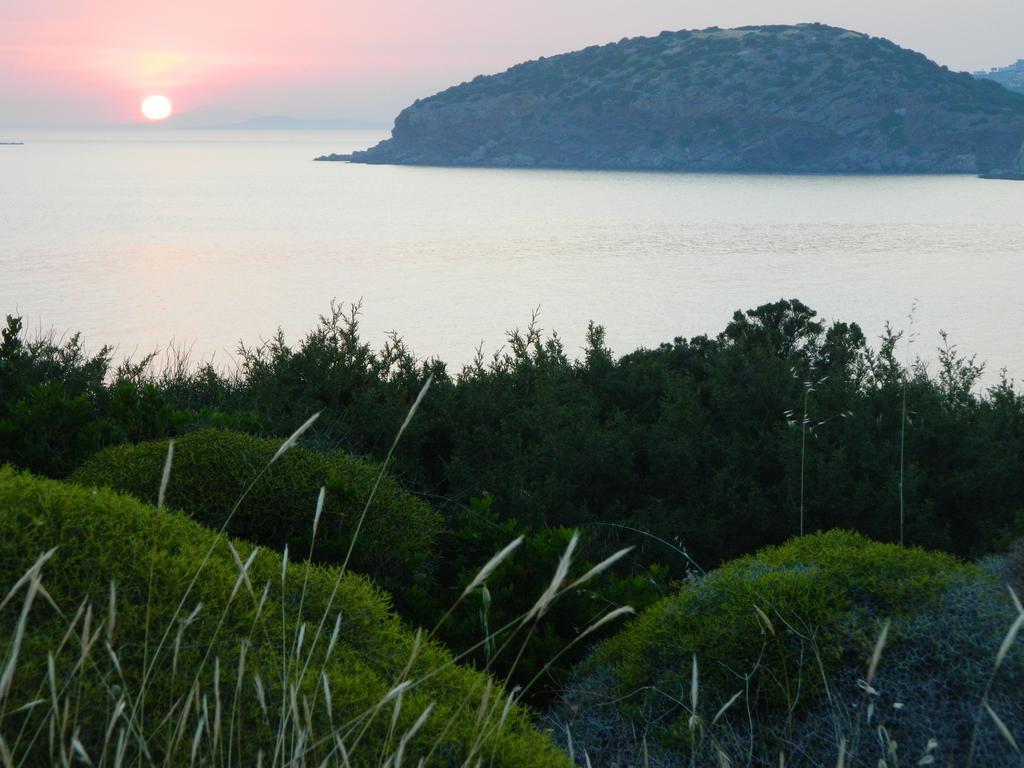 Apartamento Sounio Palea Heaven Palaiá Fókaia Exterior foto